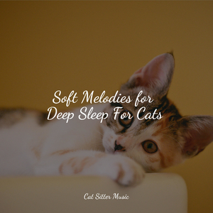 Ambient Soundscape for Sleep