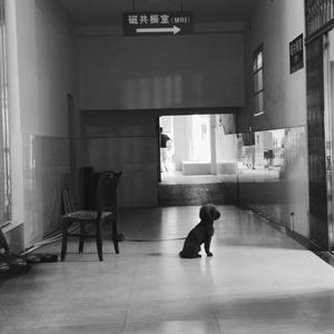 制高点（prod by 9Zi）