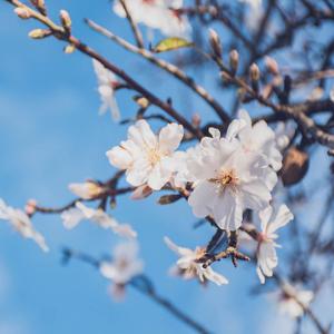 热艰高思