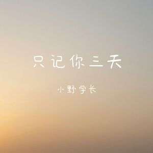 只记你三天