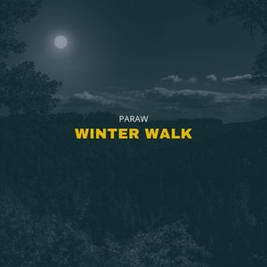 Winter Walk