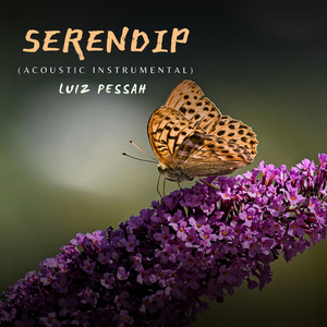 Serendip (Acoustic Instrumental)