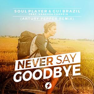 Never Say Goodbye (Artury Pepper Remix)