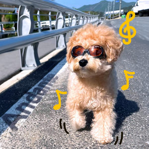 샴푸 (feat. 권재학 (JFLAMINGO))