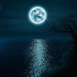 一个人的月亮-PApa Original Mix