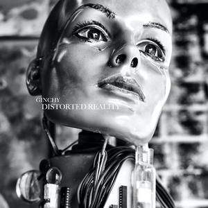 Distorted Reality (Extended Mix)