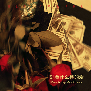 热斑乐队 - 想要什么样的爱（remix audio ***）