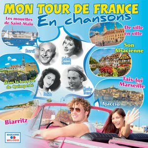 Les mouettes de Saint-Malo