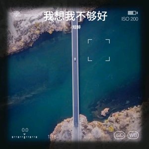 我想我不够好 (cover: 王泽科)