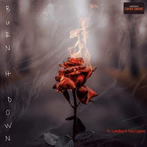 Burn It Down (feat. LAYDB & Tony Lippett)