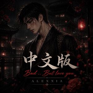 中文版 (Bad .. But love you)