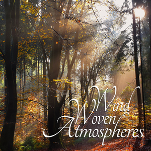 Singing Forest (Atmosphere)