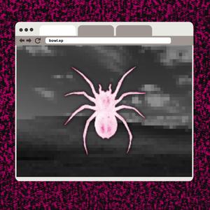 ARACHNOPHOBIA INTRO