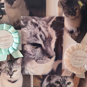 時間はながれる (feat. スミーキラー) [ばーじょんぜろ]