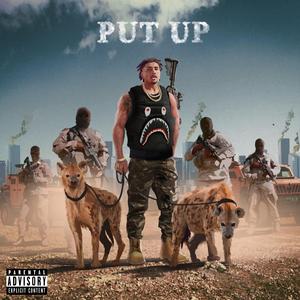 Put Up