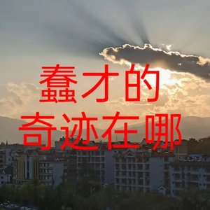 蠢才的奇迹在哪呢