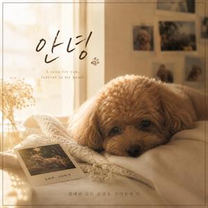안녕