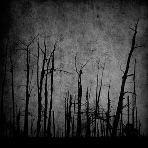 Tale of Frozen Tears