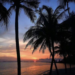 O Come O Come Emmanuel(压迫感)