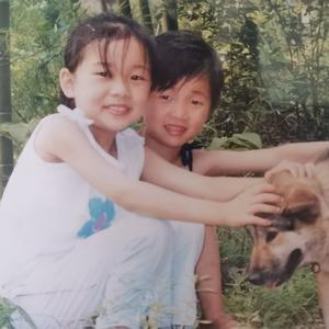 路人天才八音盒版