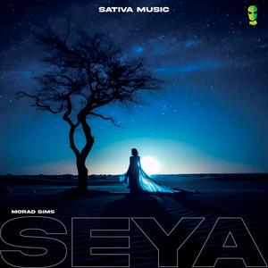Seya