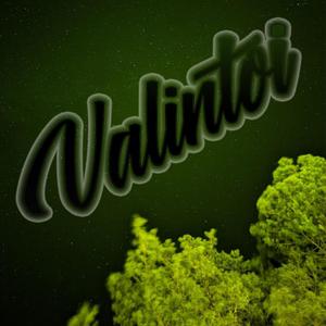 Valintoi