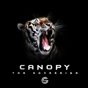 Canopy (Original Mix)