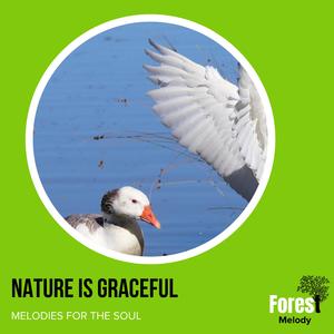 Lightening and Thunder