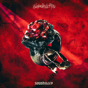 ลมหายใจสุดท้าย