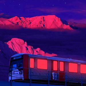 寂寞沙洲冷(陈大叔)