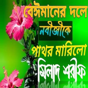 বেঈমানের দলে নবীজীকে পাথর মারিলো
