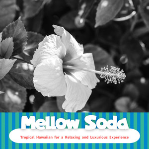 I'm Going to a Party