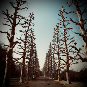 JINSEI WA NANI GA ATTE MO MATA UGOKIDASU