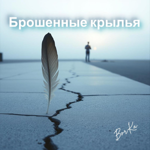 Брошенные крылья