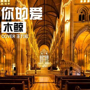 你的爱