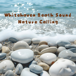 시원한 파도소리