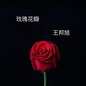 玫瑰花瓣