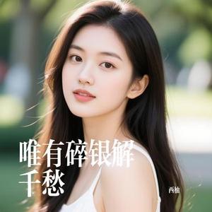 唯有碎银解千愁 (Cover 黄文文)