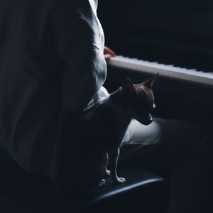 Idea 22 (Slowed + Reverb)