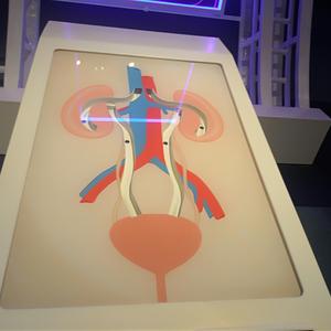 Dare to Dream(Not A Day Goes By)