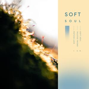 Soft Soul