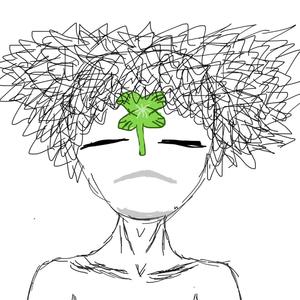 four leaf clover