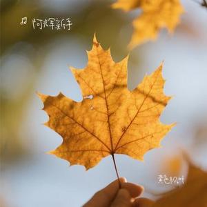 黄色枫叶 (Cover 薛之谦)