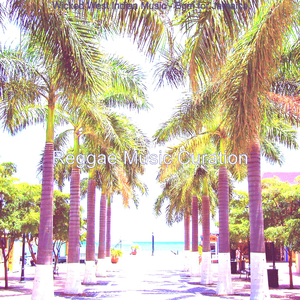 Fashionable Ambience for Saint Kitts