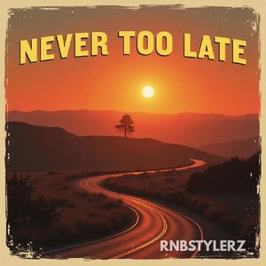 Never Too Late (Radio Edit)