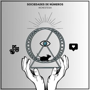 Sociedades de números