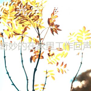 一尘不染正在学习印象数