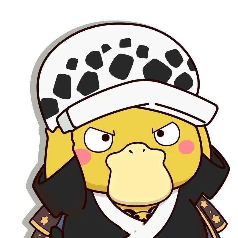 11封面