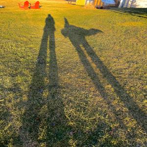 Radical ! (Chicken Joe's Version)