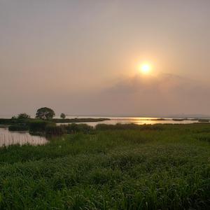 男儿当自强纯音